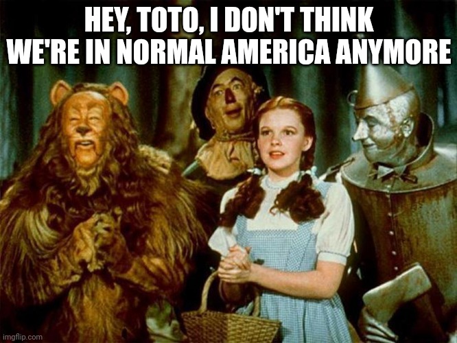 Wizard of oz | HEY, TOTO, I DON'T THINK WE'RE IN NORMAL AMERICA ANYMORE | image tagged in wizard of oz | made w/ Imgflip meme maker