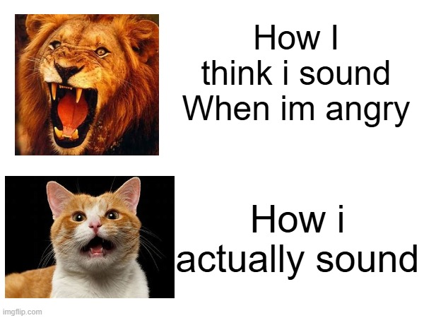 How i think I sound and how I actually sound | How I think i sound
When im angry; How i actually sound | image tagged in roar | made w/ Imgflip meme maker