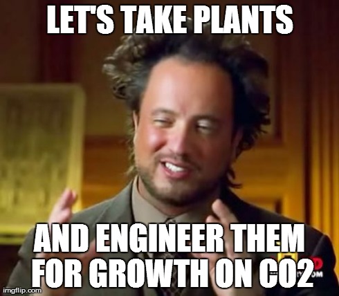 Ancient Aliens Meme | LET'S TAKE PLANTS AND ENGINEER THEM FOR GROWTH ON CO2 | image tagged in memes,ancient aliens | made w/ Imgflip meme maker