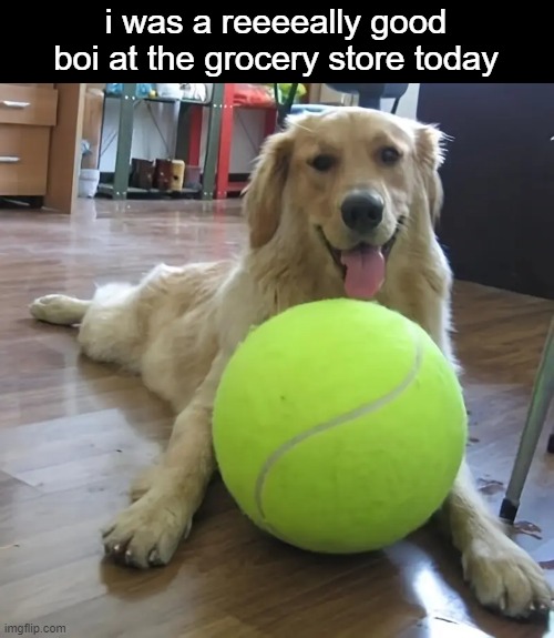 i was a reeeeally good boi at the grocery store today | made w/ Imgflip meme maker