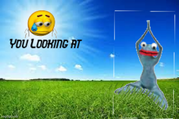 You looking at | image tagged in you looking at | made w/ Imgflip meme maker