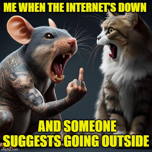 internet | ME WHEN THE INTERNET’S DOWN; AND SOMEONE SUGGESTS GOING OUTSIDE | image tagged in memes | made w/ Imgflip meme maker