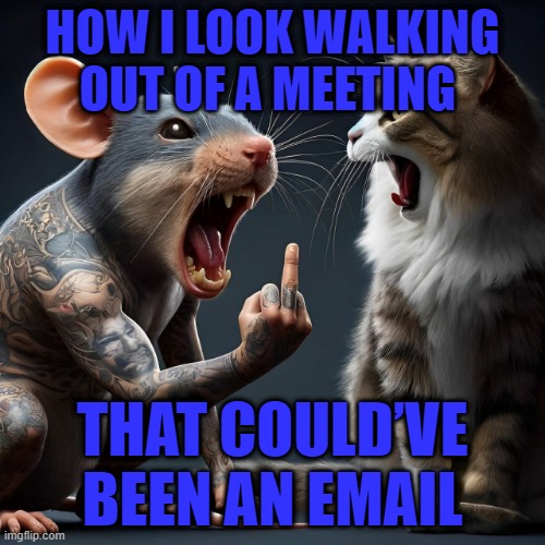 meeting | HOW I LOOK WALKING OUT OF A MEETING; THAT COULD’VE BEEN AN EMAIL | image tagged in memes | made w/ Imgflip meme maker