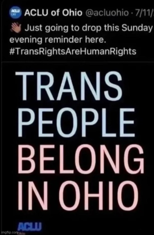 rahhh trans people belong in ohio they’re skibidi sigma enough!!! | made w/ Imgflip meme maker