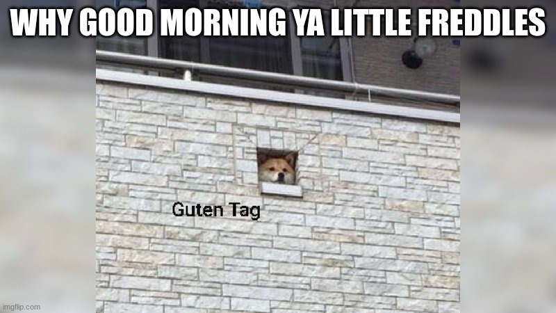 Good Morning- | WHY GOOD MORNING YA LITTLE FREDDLES | image tagged in guten tag | made w/ Imgflip meme maker