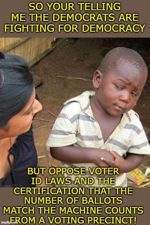yep | SO YOUR TELLING ME THE DEMOCRATS ARE FIGHTING FOR DEMOCRACY; BUT OPPOSE VOTER ID LAWS AND THE CERTIFICATION THAT THE NUMBER OF BALLOTS MATCH THE MACHINE COUNTS FROM A VOTING PRECINCT! | image tagged in memes,third world skeptical kid | made w/ Imgflip meme maker