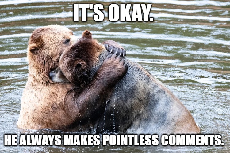 Two Bears Hugging | IT'S OKAY. HE ALWAYS MAKES POINTLESS COMMENTS. | image tagged in bears,hug,two bears,wildlife comedy awards 2024 | made w/ Imgflip meme maker