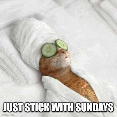 Cat spa sunday | JUST STICK WITH SUNDAYS | image tagged in cat spa sunday | made w/ Imgflip meme maker