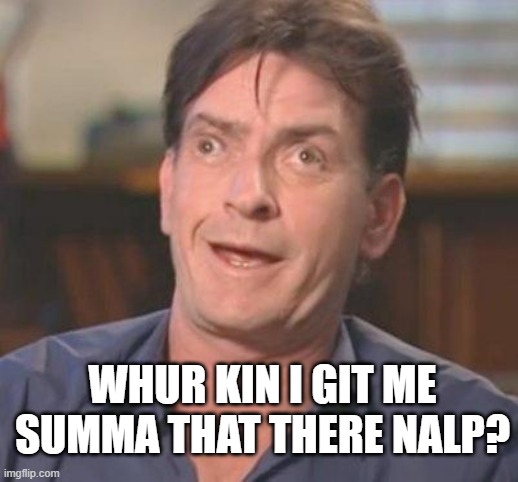 Charlie Sheen DERP | WHUR KIN I GIT ME SUMMA THAT THERE NALP? | image tagged in charlie sheen derp | made w/ Imgflip meme maker