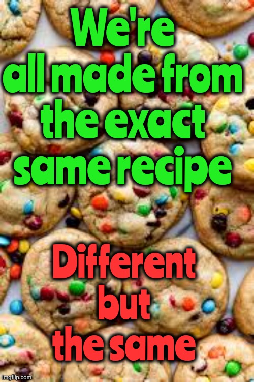 The Only Thing Different About Us Is The Crap Those That Want To Control Us Put In Our Heads | We're all made from the exact same recipe; Different but the same | image tagged in why can't we just get along,the great awakening,wake up,maga,white supremacy,memes | made w/ Imgflip meme maker