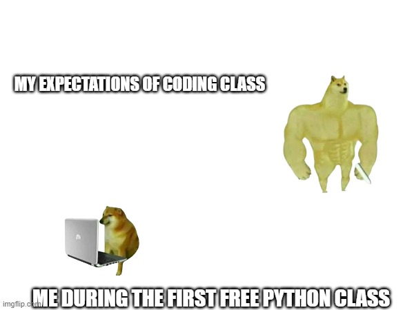 hype image | MY EXPECTATIONS OF CODING CLASS; ME DURING THE FIRST FREE PYTHON CLASS | image tagged in hype,post | made w/ Imgflip meme maker