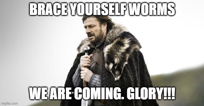 Winter Is Coming | BRACE YOURSELF WORMS; WE ARE COMING. GLORY!!! | image tagged in winter is coming | made w/ Imgflip meme maker