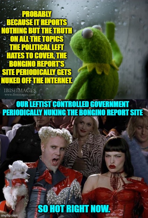 The left keeps nuking it and I keep finding it again.  So it goes. | PROBABLY BECAUSE IT REPORTS NOTHING BUT THE TRUTH ON ALL THE TOPICS THE POLITICAL LEFT HATES TO COVER, THE BONGINO REPORT'S SITE PERIODICALLY GETS NUKED OFF THE INTERNET. OUR LEFTIST CONTROLLED GOVERNMENT PERIODICALLY NUKING THE BONGINO REPORT SITE; SO HOT RIGHT NOW. | image tagged in yep | made w/ Imgflip meme maker