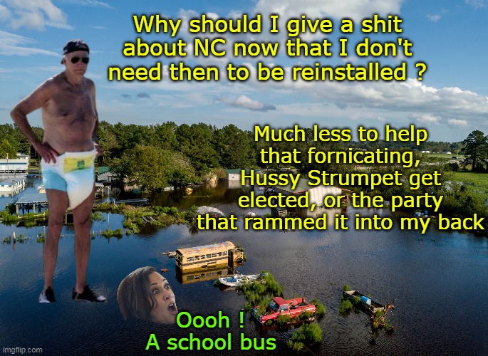 You'd think he'd visit   NC has PLENTY of beaches now | Why should I give a shit about NC now that I don't need then to be reinstalled ? Much less to help that fornicating, Hussy Strumpet get elected, or the party that rammed it into my back; Oooh ! A school bus | image tagged in biden checks out meme | made w/ Imgflip meme maker