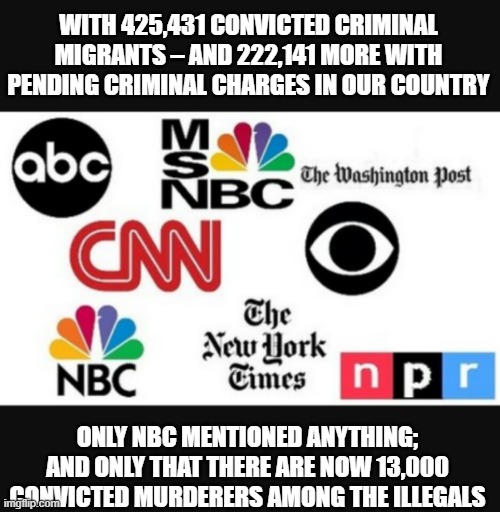 you really don't hate them enough | WITH 425,431 CONVICTED CRIMINAL MIGRANTS – AND 222,141 MORE WITH PENDING CRIMINAL CHARGES IN OUR COUNTRY; ONLY NBC MENTIONED ANYTHING; AND ONLY THAT THERE ARE NOW 13,000 CONVICTED MURDERERS AMONG THE ILLEGALS | image tagged in media lies | made w/ Imgflip meme maker