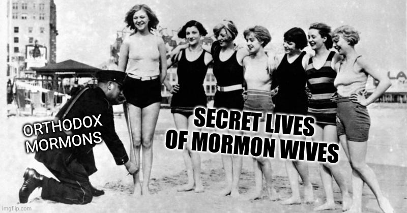 Secret Lives of Mormon Wives check | SECRET LIVES OF MORMON WIVES; ORTHODOX MORMONS | image tagged in bikini police | made w/ Imgflip meme maker