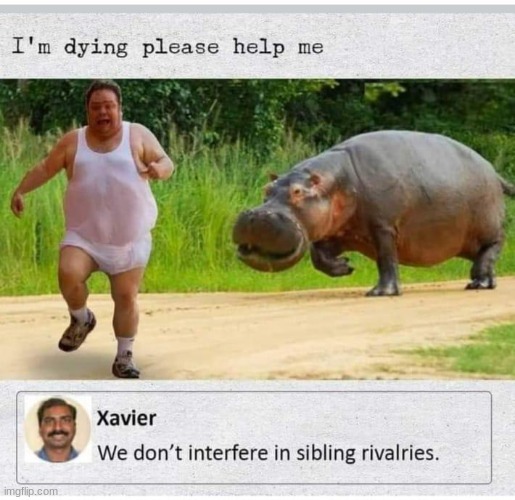 Lol, bro did him dirty. | image tagged in memes,funny,hippo | made w/ Imgflip meme maker