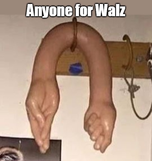 Anyone for Walz | made w/ Imgflip meme maker