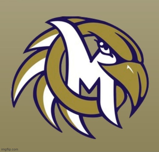 Mercer County Golden Eagles | image tagged in football | made w/ Imgflip meme maker