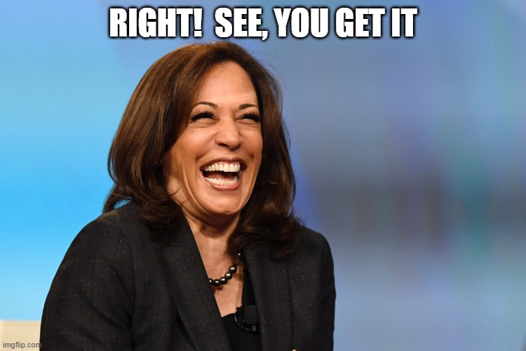 Kamala Harris laughing | RIGHT!  SEE, YOU GET IT | image tagged in kamala harris laughing | made w/ Imgflip meme maker