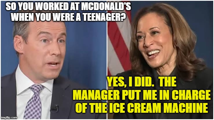 Kamala interview | SO YOU WORKED AT MCDONALD'S WHEN YOU WERE A TEENAGER? YES, I DID.  THE MANAGER PUT ME IN CHARGE OF THE ICE CREAM MACHINE | image tagged in kamala interview | made w/ Imgflip meme maker