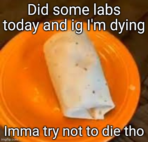 JimmyHere Burrito | Did some labs today and ig I'm dying; Imma try not to die tho | image tagged in jimmyhere burrito | made w/ Imgflip meme maker