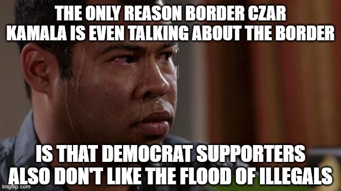 sweating bullets | THE ONLY REASON BORDER CZAR KAMALA IS EVEN TALKING ABOUT THE BORDER IS THAT DEMOCRAT SUPPORTERS ALSO DON'T LIKE THE FLOOD OF ILLEGALS | image tagged in sweating bullets | made w/ Imgflip meme maker