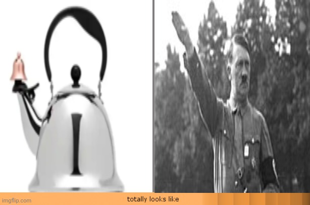 Teapot Hitler | image tagged in totally looks like | made w/ Imgflip meme maker