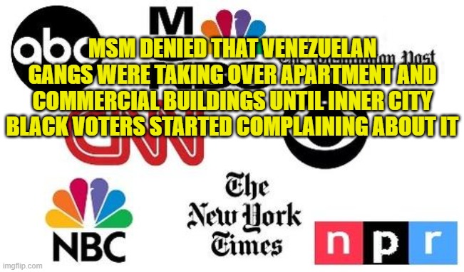 Lib mainstream media | MSM DENIED THAT VENEZUELAN GANGS WERE TAKING OVER APARTMENT AND COMMERCIAL BUILDINGS UNTIL INNER CITY BLACK VOTERS STARTED COMPLAINING ABOUT | image tagged in lib mainstream media | made w/ Imgflip meme maker