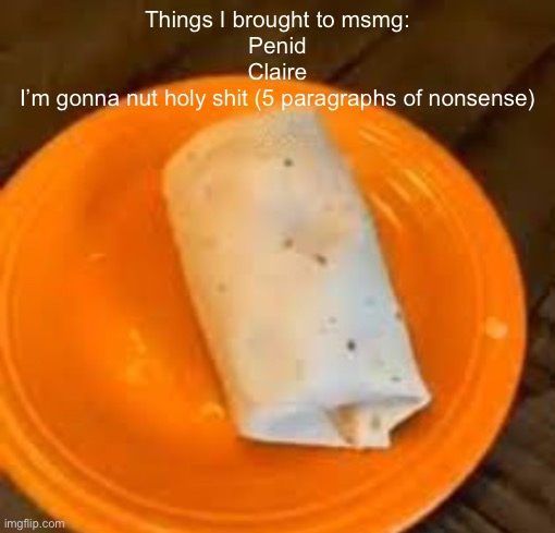 JimmyHere Burrito | Things I brought to msmg:
Penid
Claire
I’m gonna nut holy shit (5 paragraphs of nonsense) | image tagged in jimmyhere burrito | made w/ Imgflip meme maker