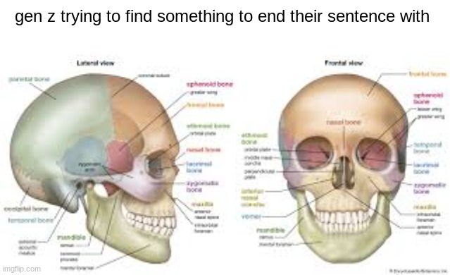 gen z trying to find something to end their sentence with | made w/ Imgflip meme maker