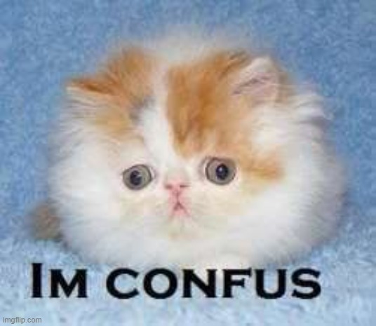 Im Confus | image tagged in im confus | made w/ Imgflip meme maker
