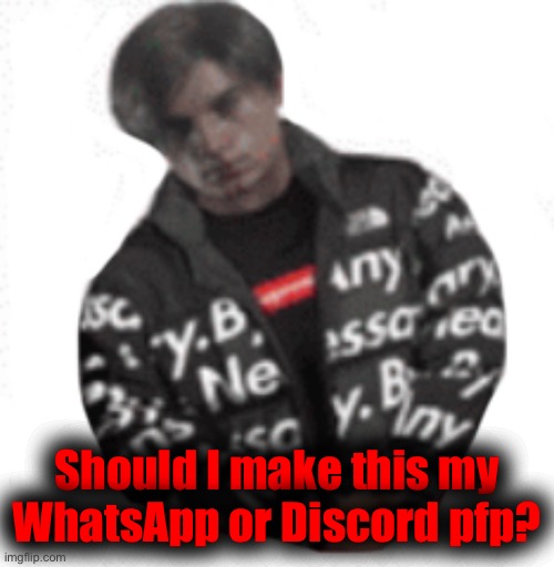 Should I make this my WhatsApp or Discord pfp? | made w/ Imgflip meme maker