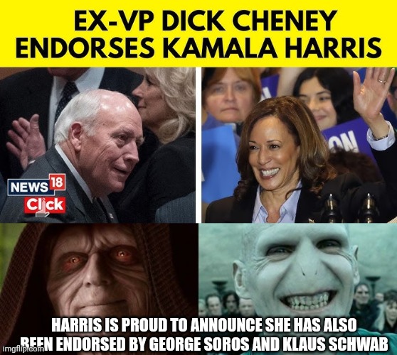 political humor | HARRIS IS PROUD TO ANNOUNCE SHE HAS ALSO BEEN ENDORSED BY GEORGE SOROS AND KLAUS SCHWAB | image tagged in star wars yoda | made w/ Imgflip meme maker