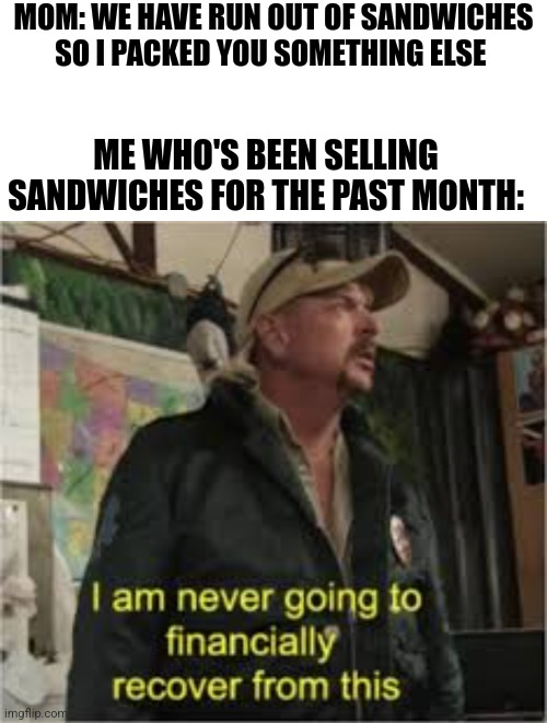 MOM: WE HAVE RUN OUT OF SANDWICHES SO I PACKED YOU SOMETHING ELSE; ME WHO'S BEEN SELLING SANDWICHES FOR THE PAST MONTH: | image tagged in memes,blank transparent square | made w/ Imgflip meme maker