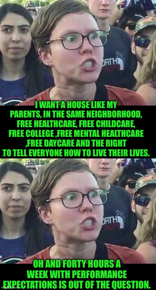 No problem | I WANT A HOUSE LIKE MY PARENTS, IN THE SAME NEIGHBORHOOD, FREE HEALTHCARE, FREE CHILDCARE, FREE COLLEGE ,FREE MENTAL HEALTHCARE ,FREE DAYCARE AND THE RIGHT TO TELL EVERYONE HOW TO LIVE THEIR LIVES. OH AND FORTY HOURS A WEEK WITH PERFORMANCE EXPECTATIONS IS OUT OF THE QUESTION. | image tagged in triggered liberal | made w/ Imgflip meme maker