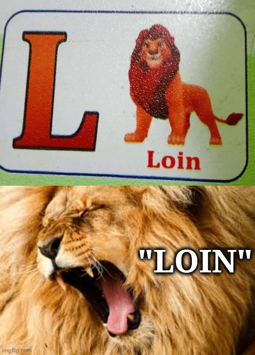 Loin | "LOIN" | image tagged in lion roaring,lion,lions,you had one job,memes,spelling error | made w/ Imgflip meme maker