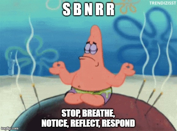 SBNRR | S B N R R; STOP, BREATHE, NOTICE, REFLECT, RESPOND | image tagged in patrick star meditating | made w/ Imgflip meme maker