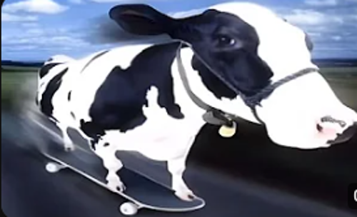 Skateboard cow Blank Meme Template