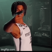 955x3s.gif