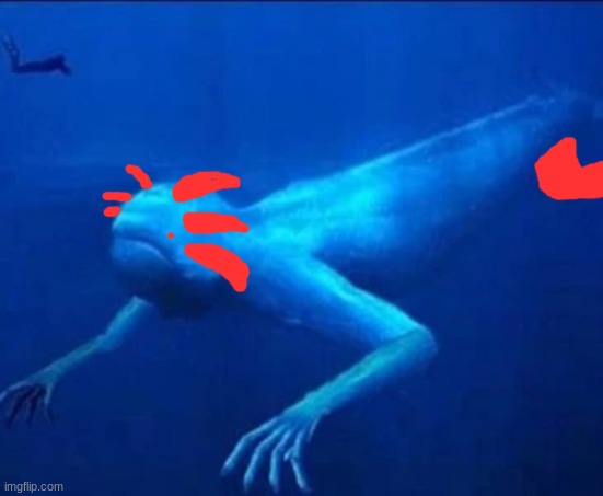 ningen are just photoshopped axolotls | made w/ Imgflip meme maker