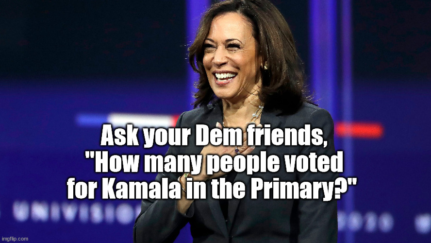 ask your friends, ask a DEM | Ask your Dem friends, "How many people voted for Kamala in the Primary?" | image tagged in kamala harris | made w/ Imgflip meme maker