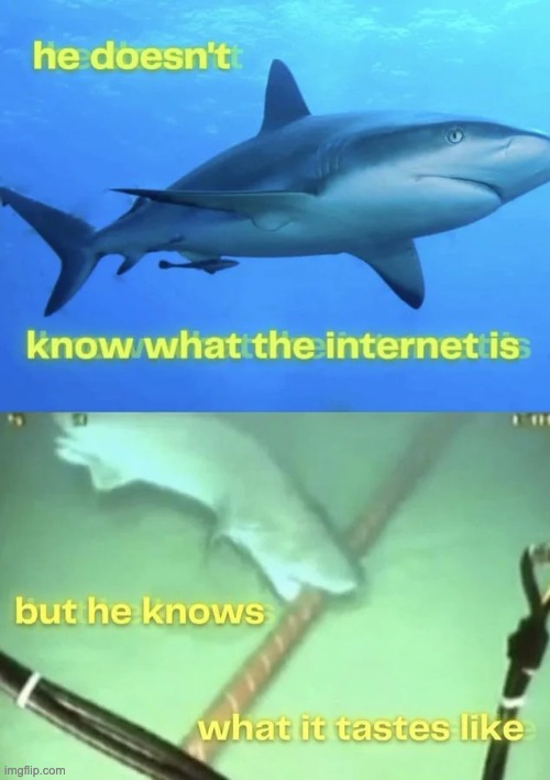 he knows what it tastes like | image tagged in he knows what it tastes like | made w/ Imgflip meme maker
