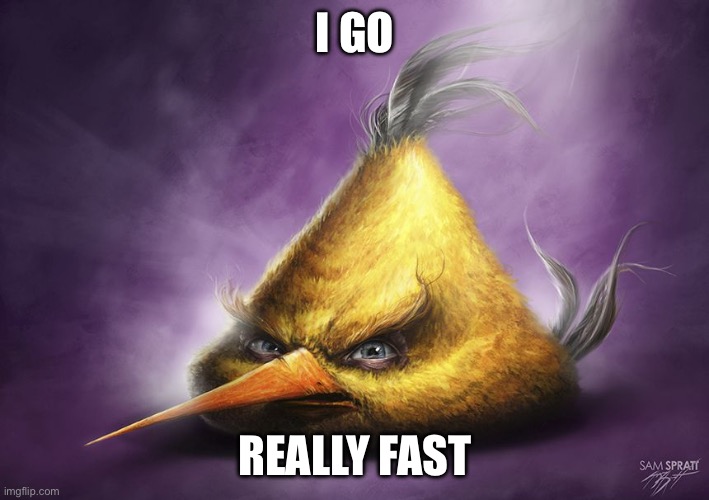 Realistic yellow angry bird | I GO REALLY FAST | image tagged in realistic yellow angry bird | made w/ Imgflip meme maker