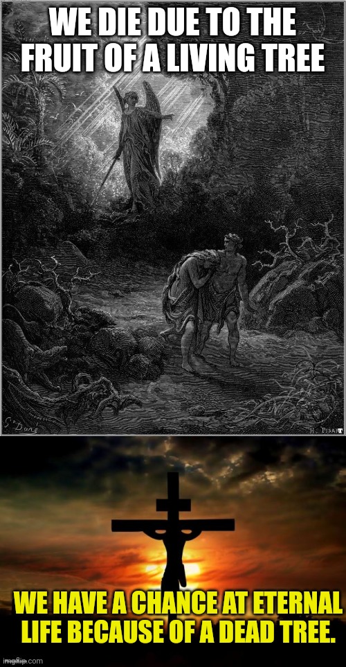 WE DIE DUE TO THE FRUIT OF A LIVING TREE; WE HAVE A CHANCE AT ETERNAL LIFE BECAUSE OF A DEAD TREE. | image tagged in adam and eve leaving eden,jesus on the cross | made w/ Imgflip meme maker