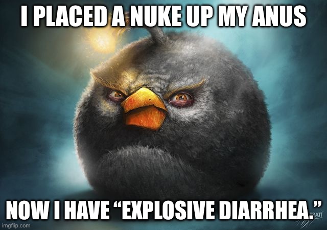 angry birds bomb | I PLACED A NUKE UP MY ANUS; NOW I HAVE “EXPLOSIVE DIARRHEA.” | image tagged in angry birds bomb | made w/ Imgflip meme maker