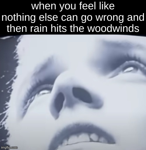 the panic of trying to save your instrument's pads | when you feel like nothing else can go wrong and then rain hits the woodwinds | image tagged in band,marching band,mcr | made w/ Imgflip meme maker