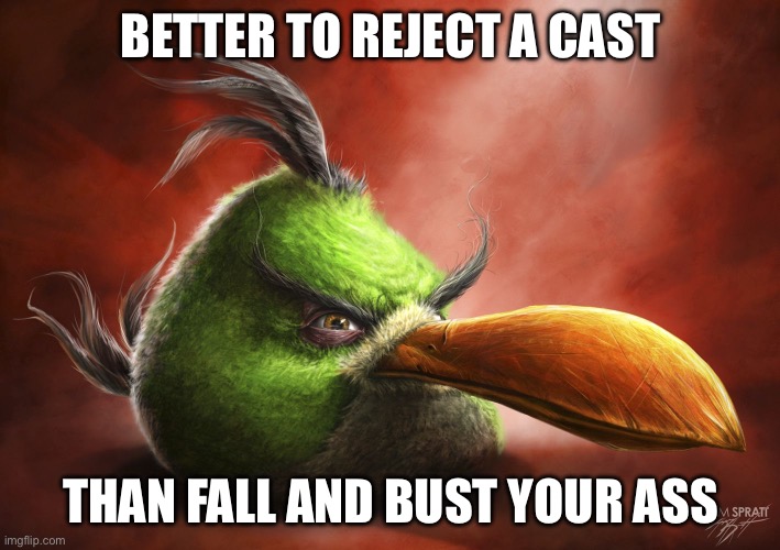 Realistic Hal | BETTER TO REJECT A CAST THAN FALL AND BUST YOUR ASS | image tagged in realistic hal | made w/ Imgflip meme maker