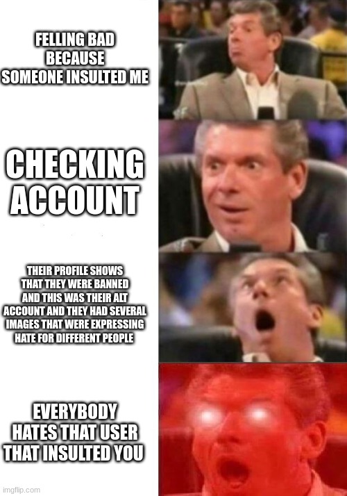 feels good sometimes | FELLING BAD BECAUSE SOMEONE INSULTED ME; CHECKING ACCOUNT; THEIR PROFILE SHOWS THAT THEY WERE BANNED AND THIS WAS THEIR ALT ACCOUNT AND THEY HAD SEVERAL IMAGES THAT WERE EXPRESSING HATE FOR DIFFERENT PEOPLE; EVERYBODY HATES THAT USER THAT INSULTED YOU | image tagged in mr mcmahon reaction | made w/ Imgflip meme maker