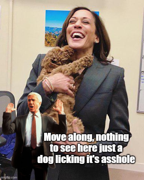 HOW is this even happening ??? | Move along, nothing to see here just a dog licking it's asshole | image tagged in kamala asshole meme | made w/ Imgflip meme maker